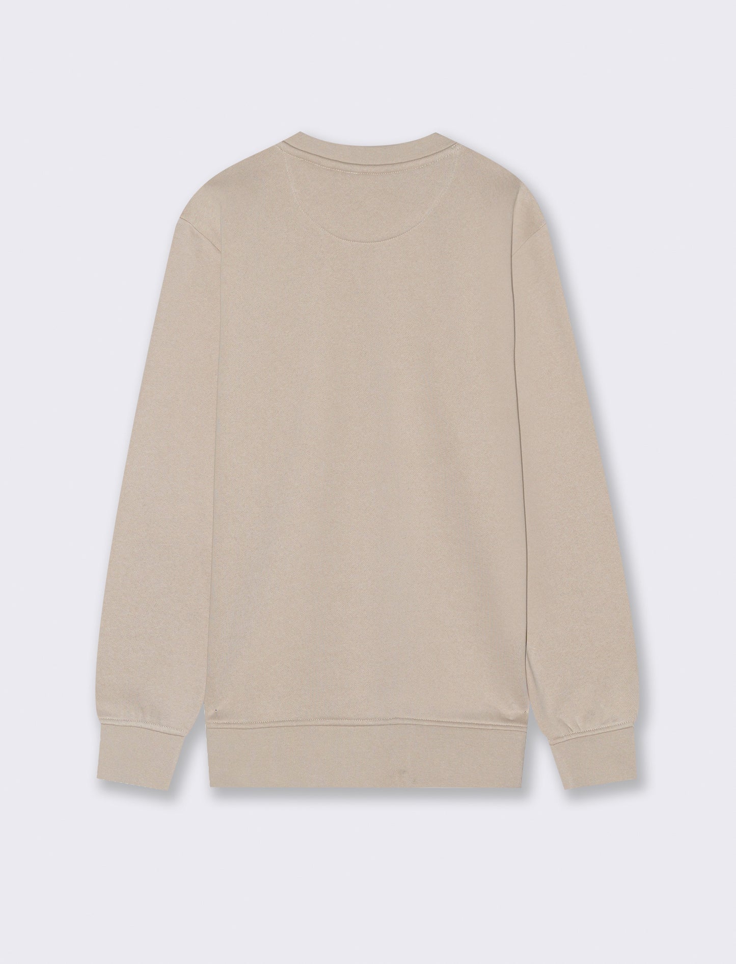 FELPA GIROCOLLO REGULAR FIT CON RICAMO - Beige