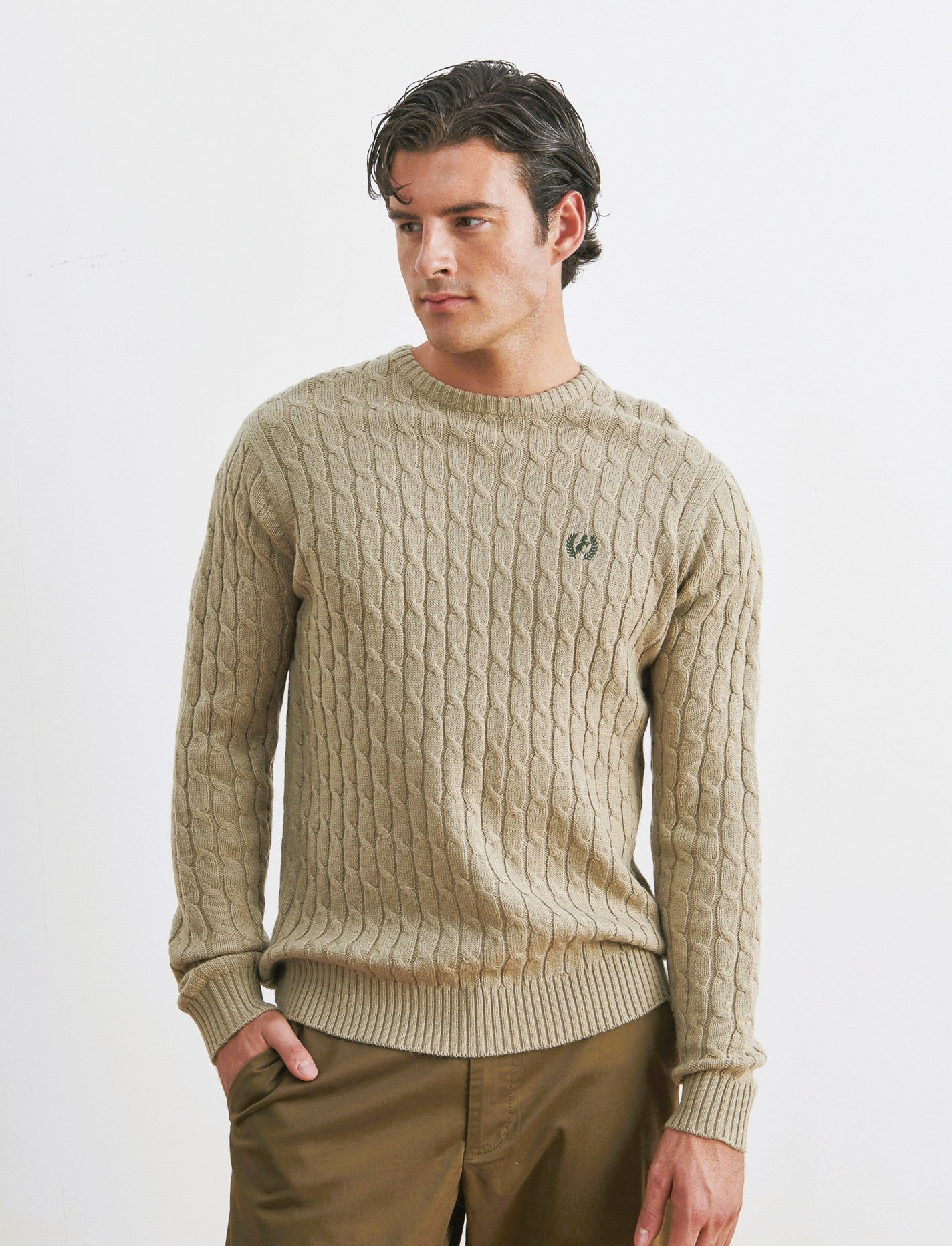 MAGLIA GIROCOLLO A TRECCE: - Beige