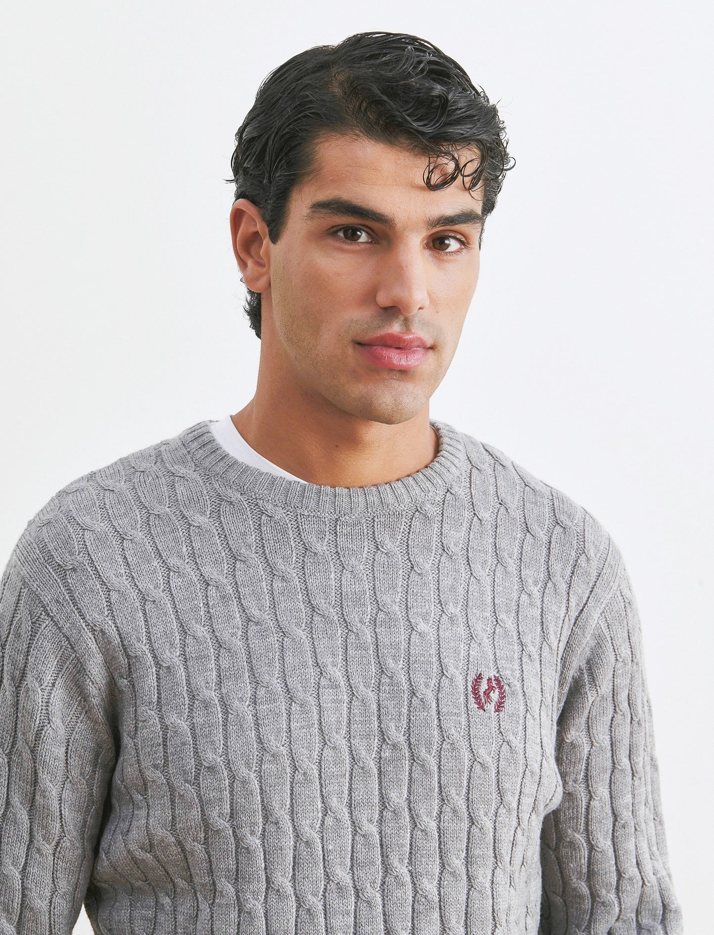 MAGLIA GIROCOLLO A TRECCE: - Grigio mel.