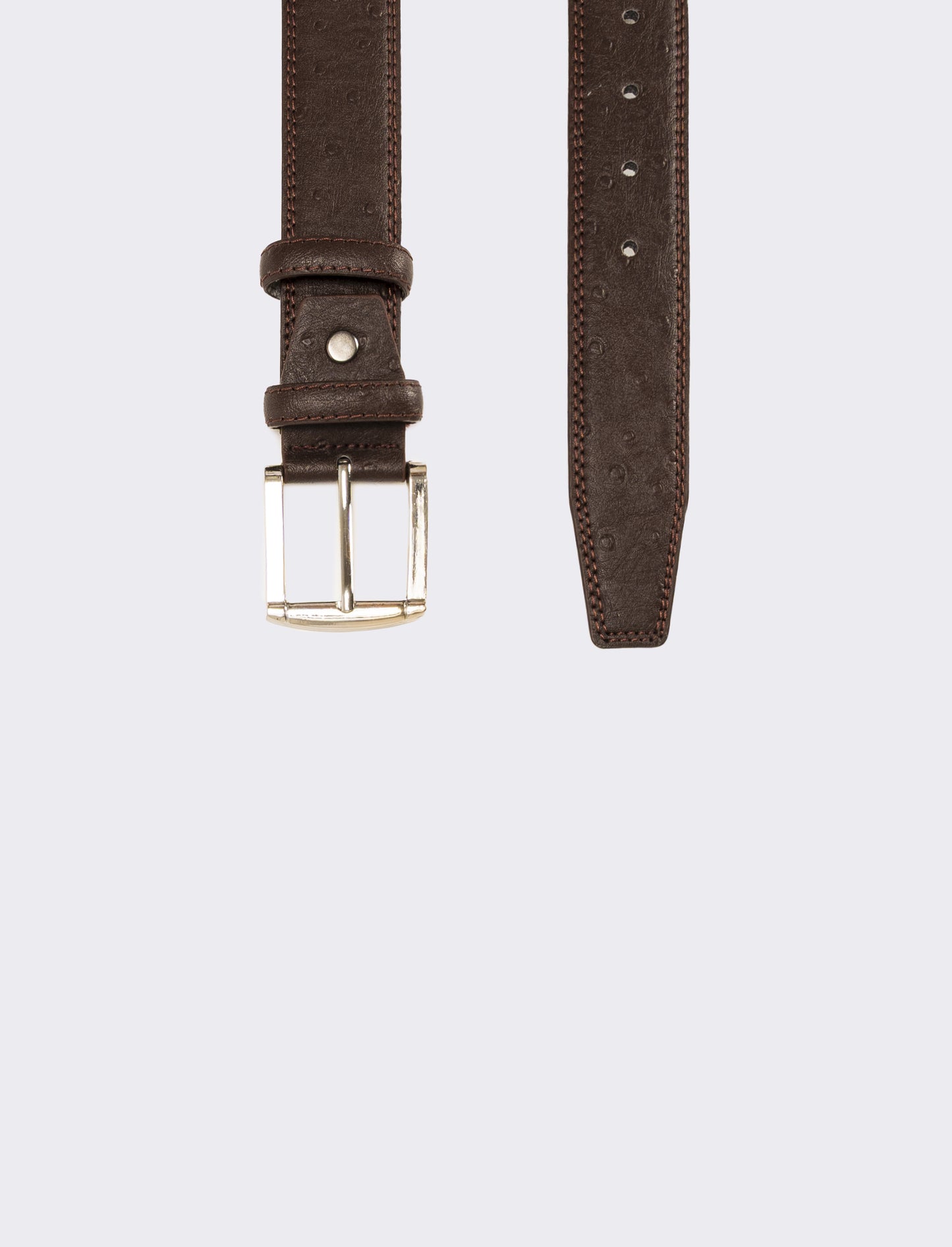 Cintura uomo stampa struzzo h 3,5 cm - Marrone