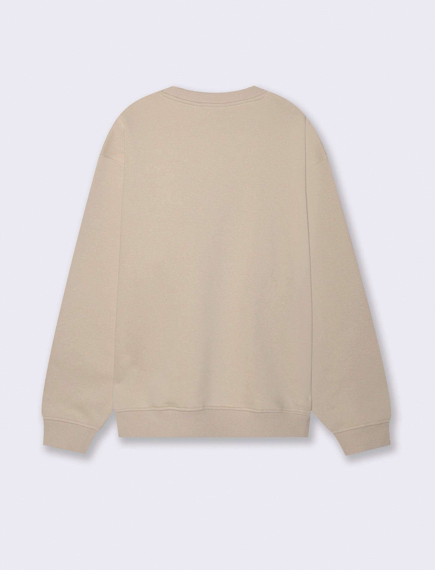 FELPA GIROCOLLO BOXY FIT CON RICAMO PUNTO SPUGNA - Beige