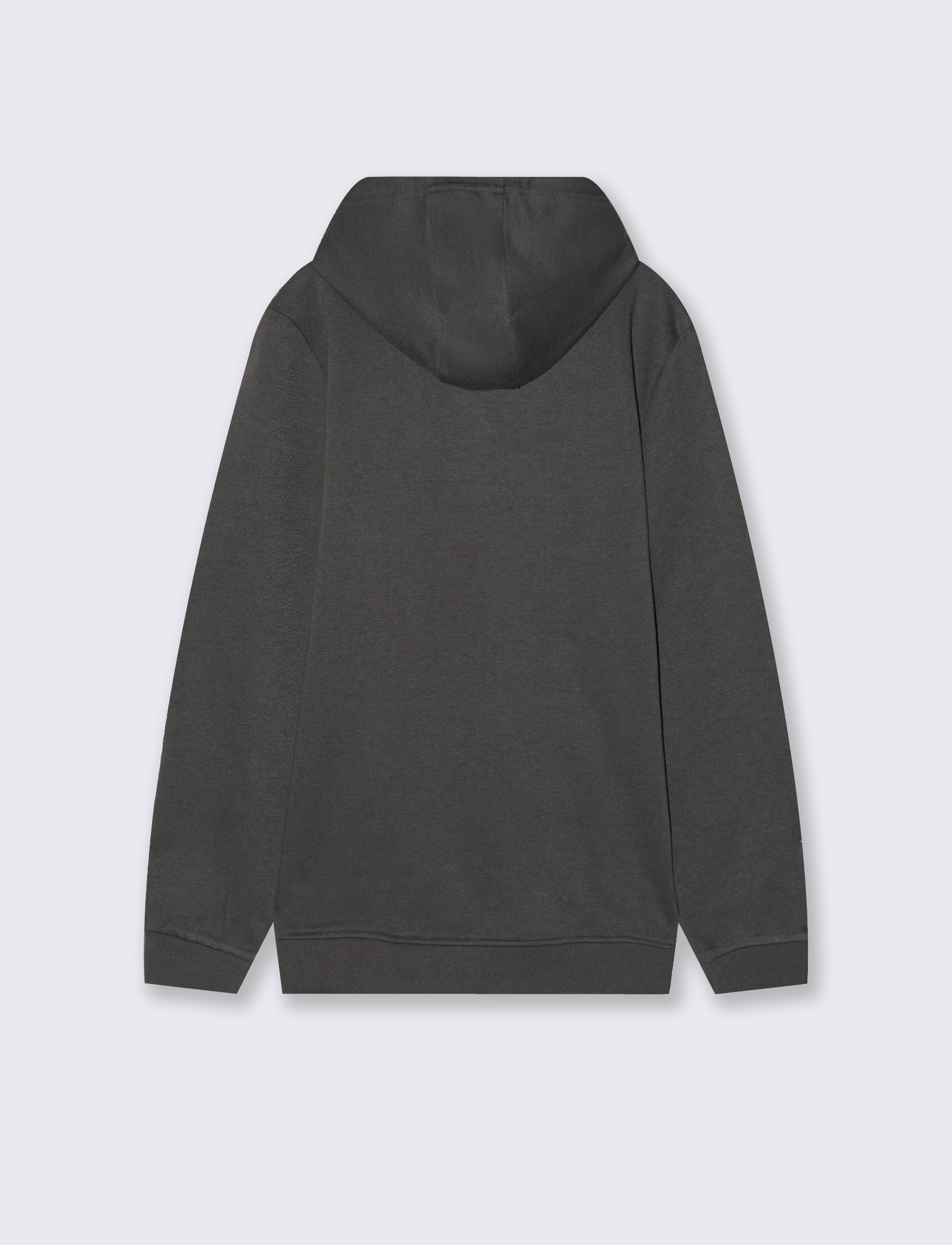FELPA CON CAPPUCCIO STAMPA E RICAMO - Grigio piombo