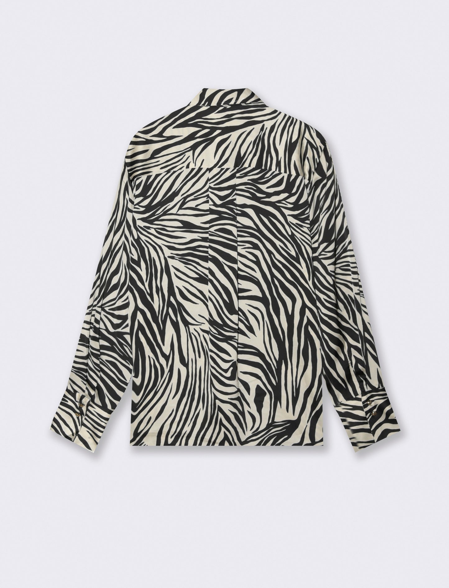 Long Sleeve Regular Fit Shirt - 