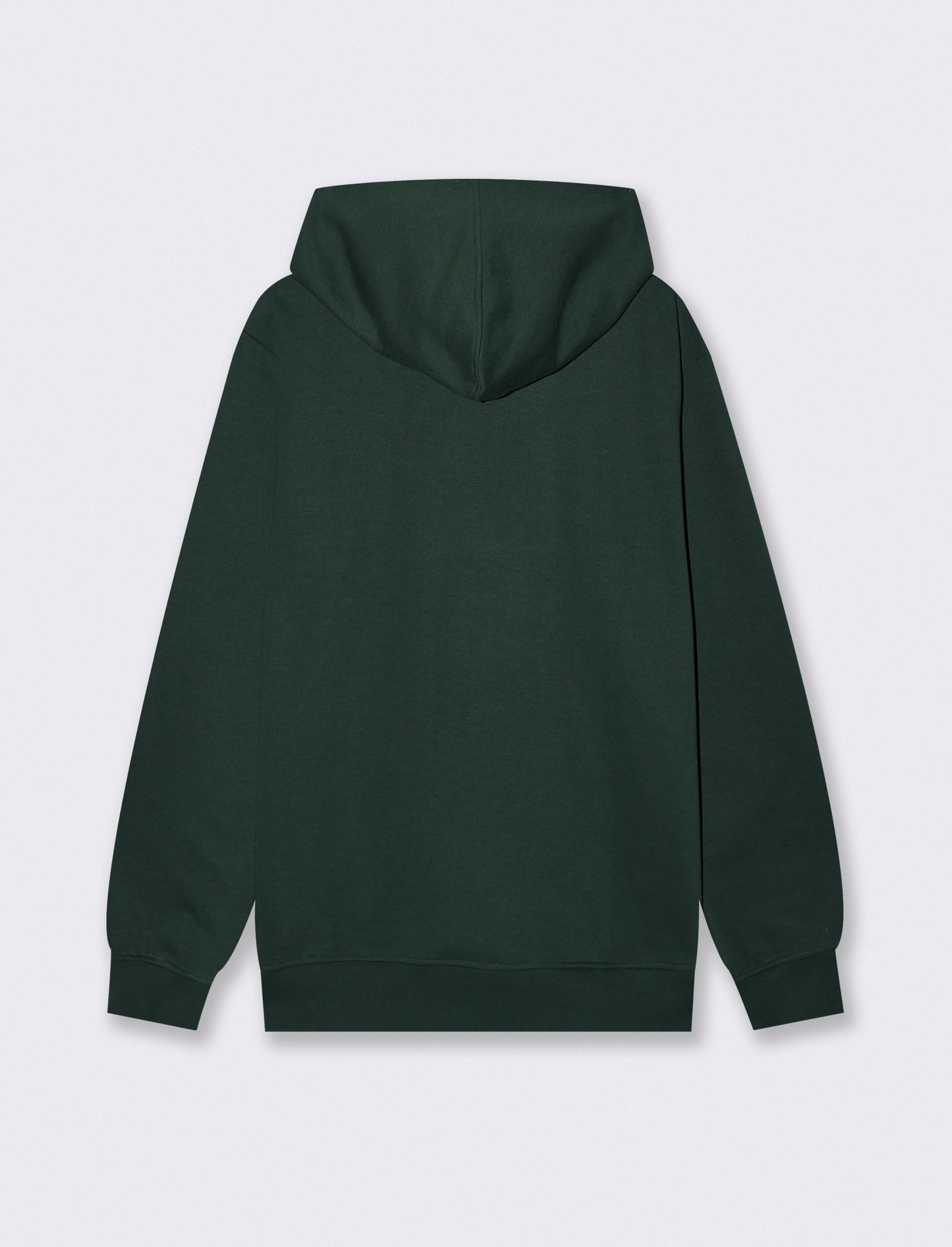 FELPA CON CAPPUCCIO CON STAMPA FLOCK - Verde scuro
