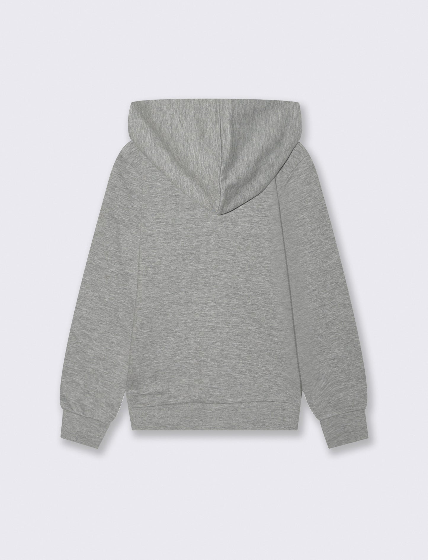 Felpa full zip con cappuccio. - Grigio mel.
