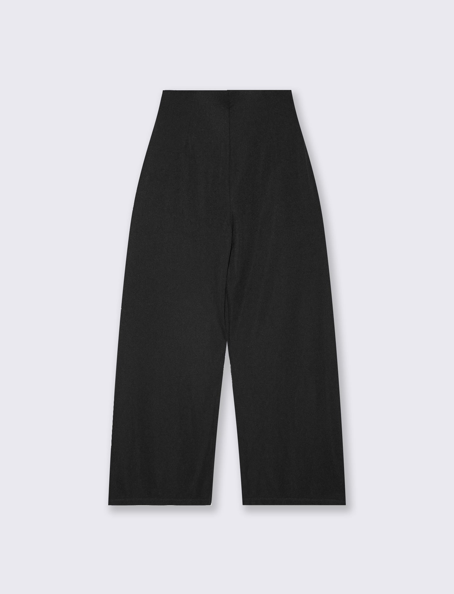Wide Leg Pants with Pleats - Black