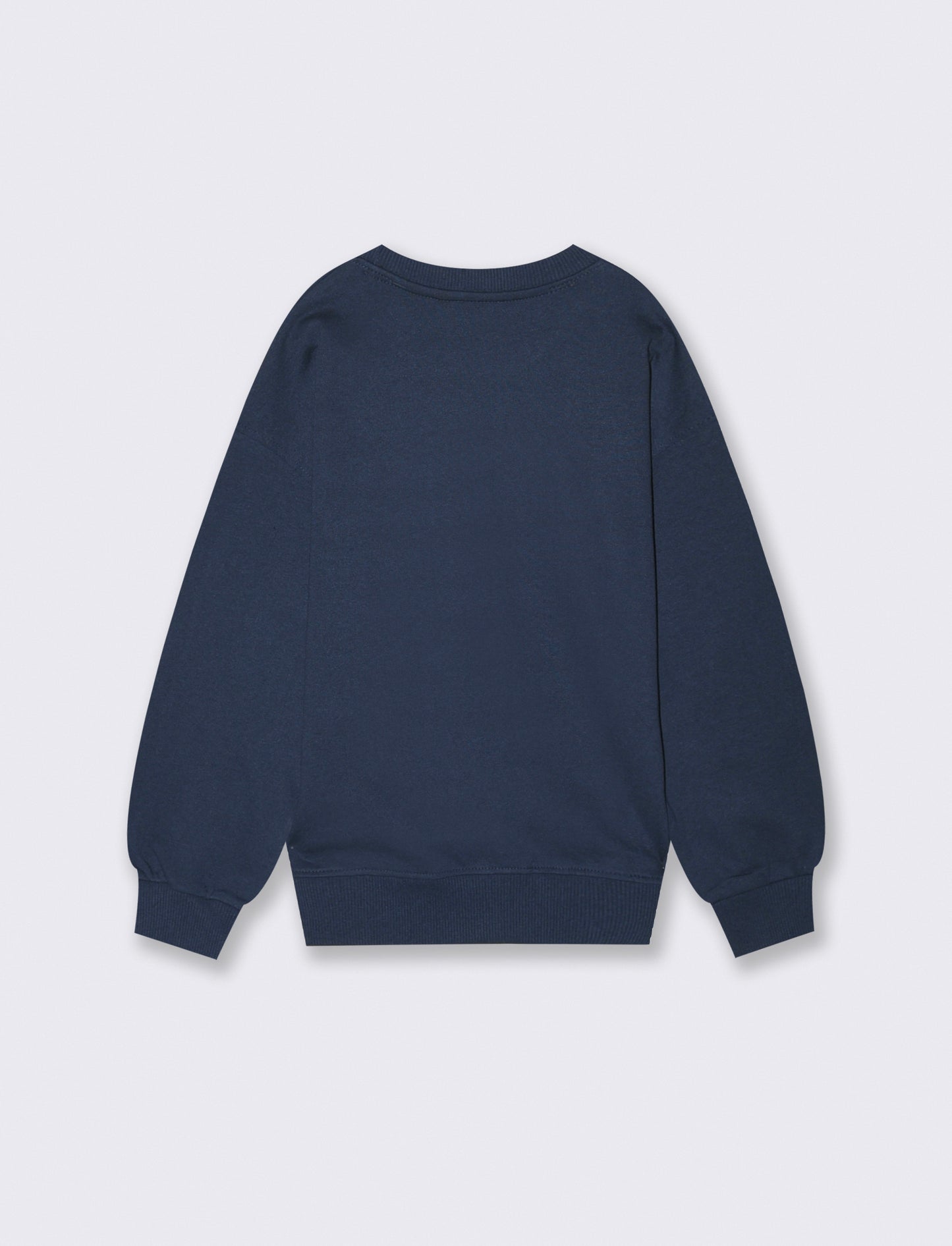 FELPA GIROCOLLO SONIC - Blu