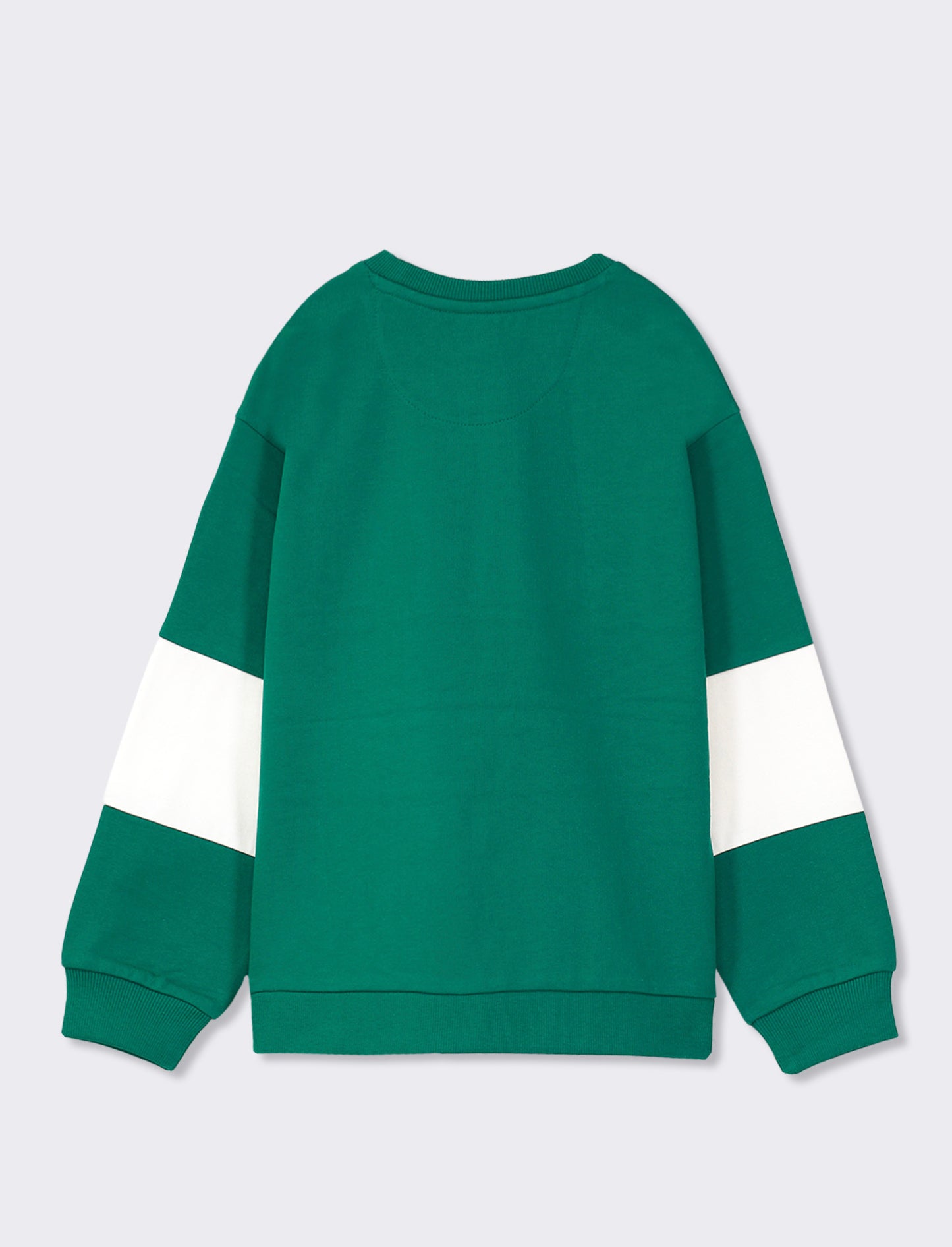 Felpa garzata stile college - Verde