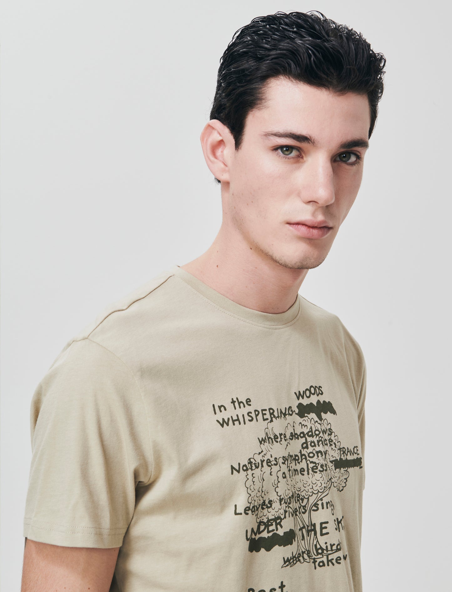T-shirt in cotone girocollo regular fit - Grigio stone