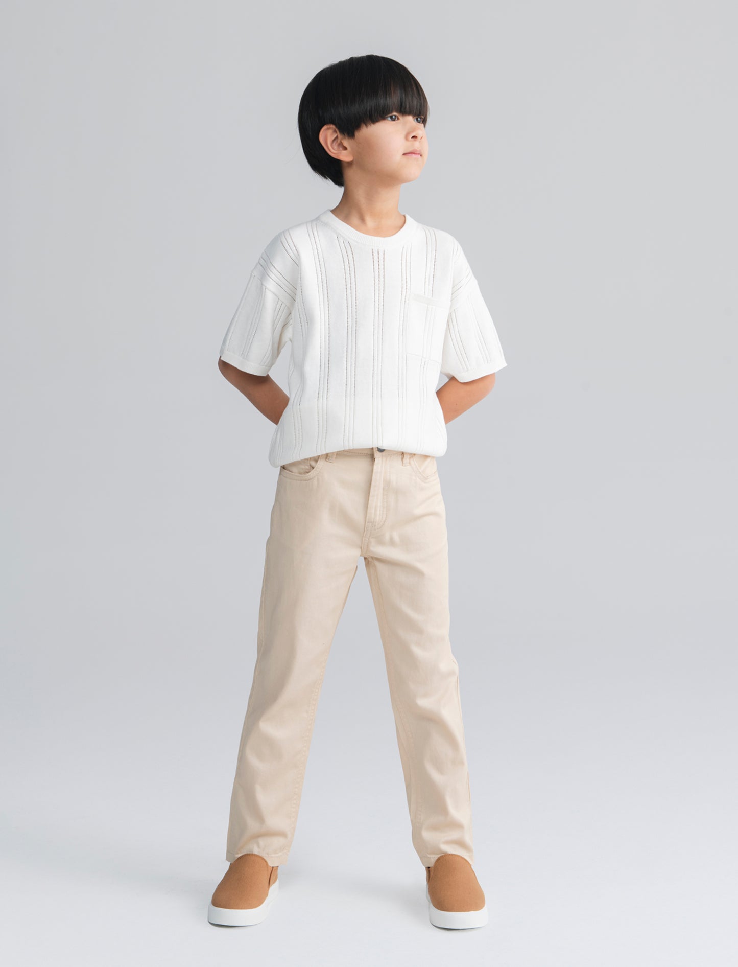 Regular Fit Stretch Cotton Pants - Beige